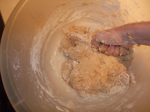 knead knead