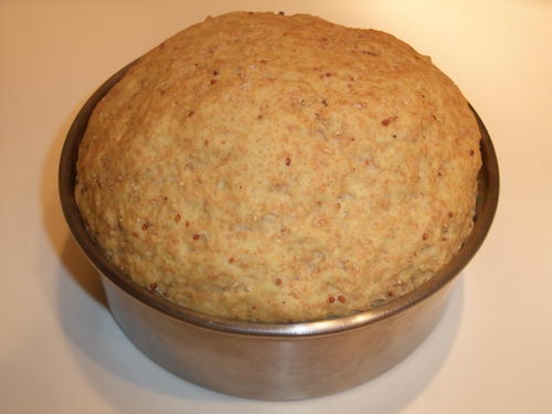 risen dough risen dough